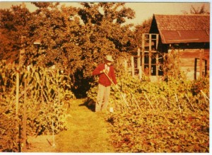 Tom Burrill Gardening